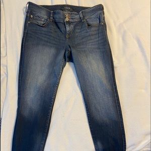 Torrid Jegging Denim